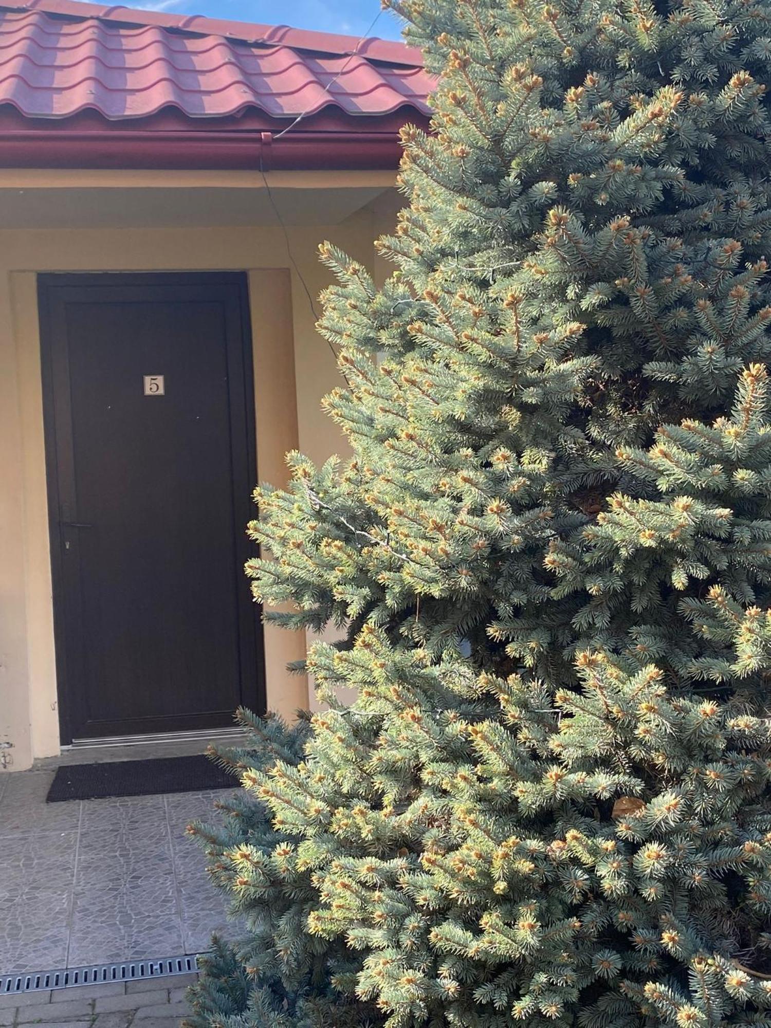 Casa Sofia Hotell Satu Mare Exteriör bild